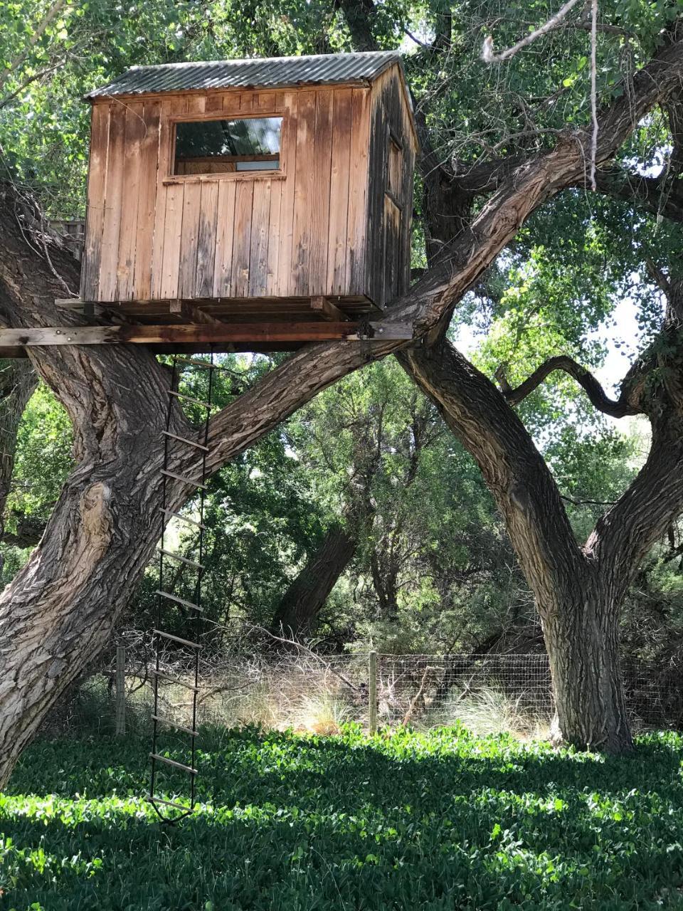 Morning Star Bed & Breakfast Of Corrales Exterior foto