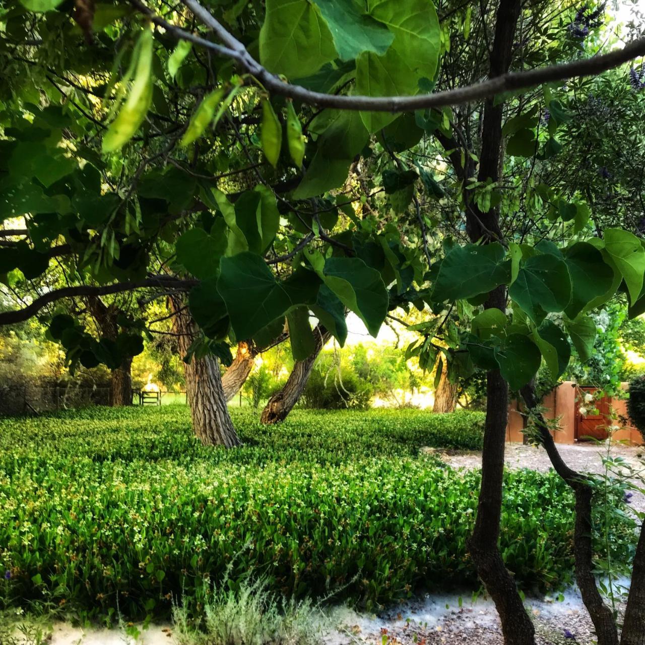 Morning Star Bed & Breakfast Of Corrales Exterior foto